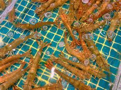 -三亚火车头万人海鲜广场