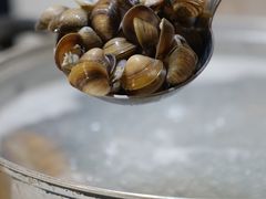 -凯华海鲜火锅·传承三十六年