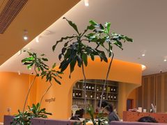 -美泰·Mangothai·清迈云街(天空之城店)