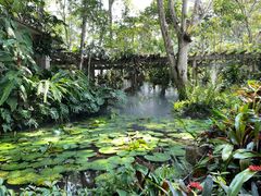 -中国科学院西双版纳热带植物园