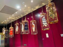 -悦江(梅奔中心店)