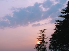 -白鹭园