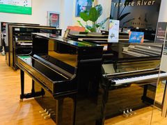 -柏斯琴行(汾阳店)