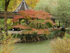 -上海醉白池公园