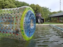 -上海海湾国家森林公园