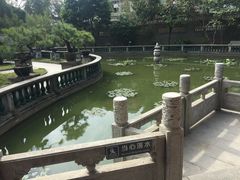 -碧江金楼
