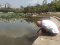 -新江湾城公园