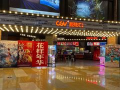 -CGV影城(东方广场4DX店)