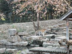 -扬州市茱萸湾风景区