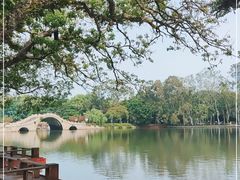 -西湖公园(鼓楼区)