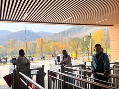 -千年银杏谷文化旅游区