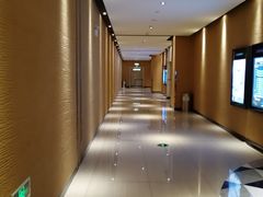 -百丽宫影城(CGS激光苏宁广场店)
