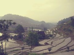 android_upload_pic-紫鹊界梯田景区