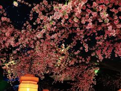 -荷塘秋月·本帮江浙菜(国权路店)