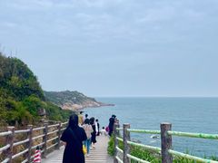 -广东惠东海龟国家级自然保护区
