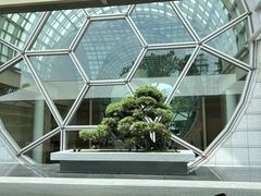 -夏苑(新加坡丽思卡尔顿美年酒店)