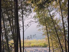-长沙黑麋峰国家森林公园