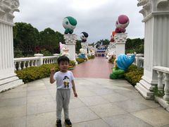 -百万葵园