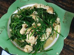 -沙洲胡杨焖饼