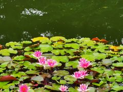 -国家植物园南园