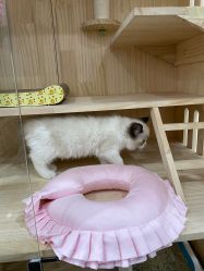 点击看大图 -花系美·美甲美睫精品店
