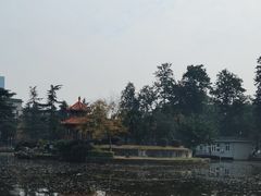 -四川大学(望江校区)
