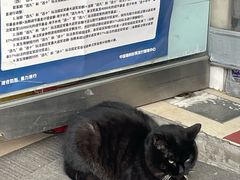 -巴依老爷新疆美食(工体旗舰店)