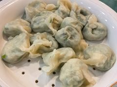 羊肉西葫芦饺子-清真伊源饺子馆(陶然共友大厦店)