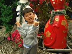 -猫咪博物馆(顶澳仔猫街店)