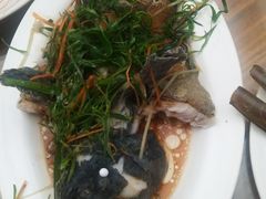 -四姑娘川味海鲜(八爪鱼店)