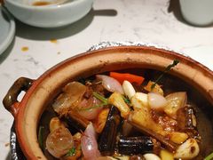 -大榕树下顺德菜(融创茂店)