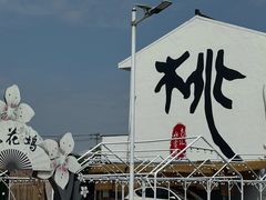 -南汇新场正宗水蜜桃采摘