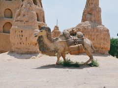 -镇北堡西部影城