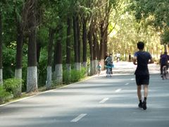 -长白岛森林公园