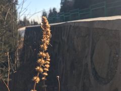 -鬼笑石后山停车场