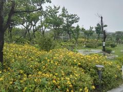 -上海滴水湖皇冠假日酒店