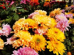 -咸阳湖景区-统一广场