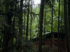 -山王坪喀斯特国家生态公园