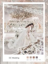 -DC大蔡婚礼策划(李公堤店)