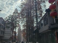 -恩施大峡谷