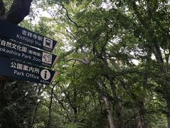 -井之头恩赐公园