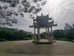 -莲花山公园