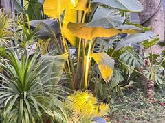 -茅草房·河畔园林火锅