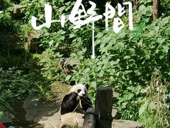 -红山森林动物园