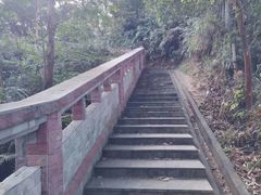 -火炉山森林公园