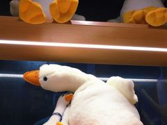 -吴山贡鹅(罍街店)