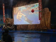 -华夏文旅海洋公园