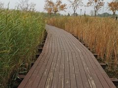 -永定河休闲森林公园