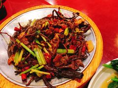 -鸢飞潍坊菜馆(鸢飞大酒店)