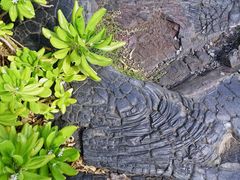 -夏威夷火山国家公园